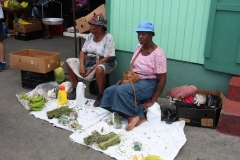 Antigua_7apr2018_StJohns_9866c_rid