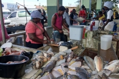 Antigua_7apr2018_StJohns_pesce3_rid