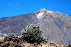 Canarie2015_1848_Teide_c_rit-1200-rid