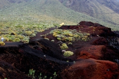 Canarie2015_1932_PuntaTeno_c_rit-1200-rid