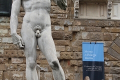 Firenze_FebbMar2020_PiazzaSignoria_CopiaDavidMichelangelo_7471c-rid