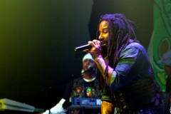 marley_1538_rid
