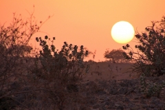 10mar2019_Oman_JabalSamhan-tramonto_9652