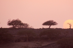 10mar2019_Oman_JabalSamhan-tramonto_9660