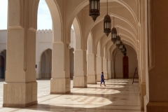 10mar2019_Oman_MoscheaSalalah_6711