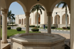 10mar2019_Oman_MoscheaSalalah_6736