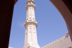 10mar2019_Oman_MoscheaSalalah_9483
