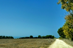 Sardegna_16set2019_8475c_fotoSusanna_versoSeu-rid