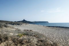 Sardegna_16set2019_8549c_fotoSusanna_SpiaggiaSGiovanniSinis-rid