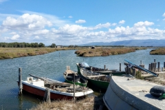 Sardegna_24set2019_8694c_fotoSusanna_SenArrubia-rid