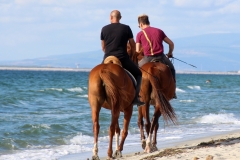 Sardegna_24set2019_5658c_MarinaArborea_cavalli-rid