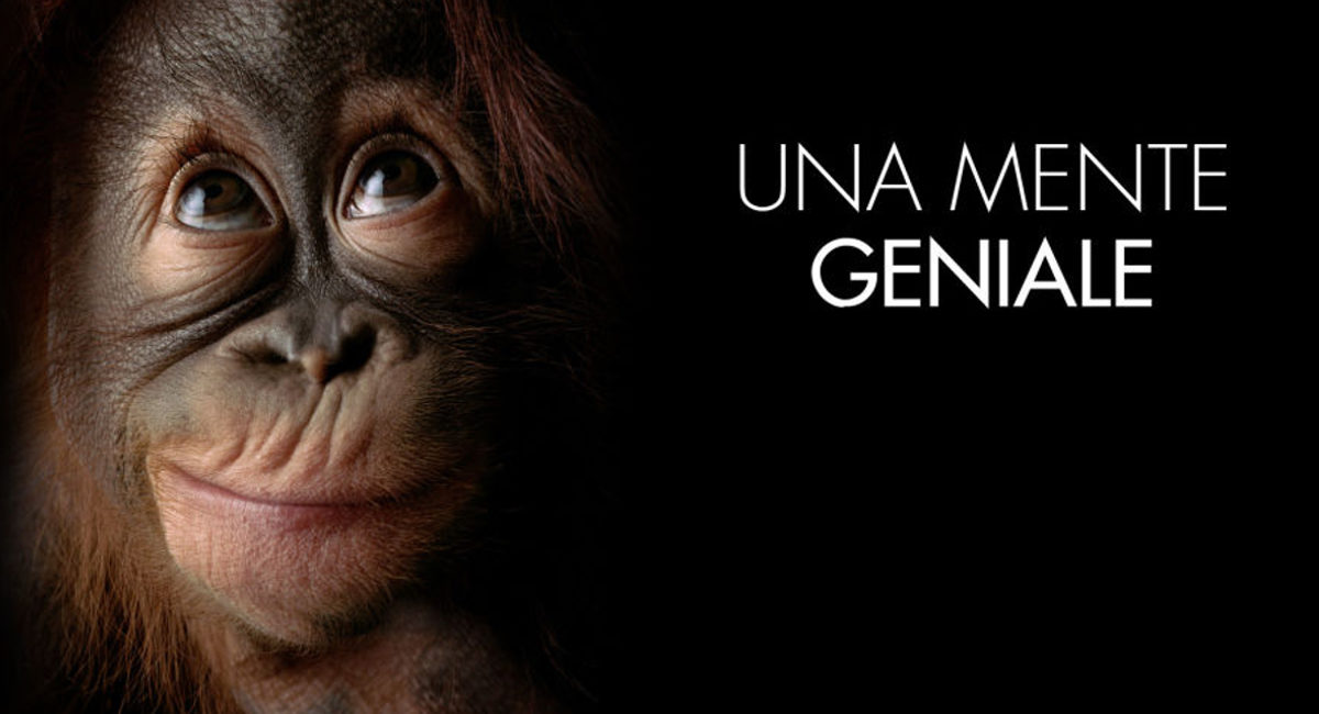 Geniale…