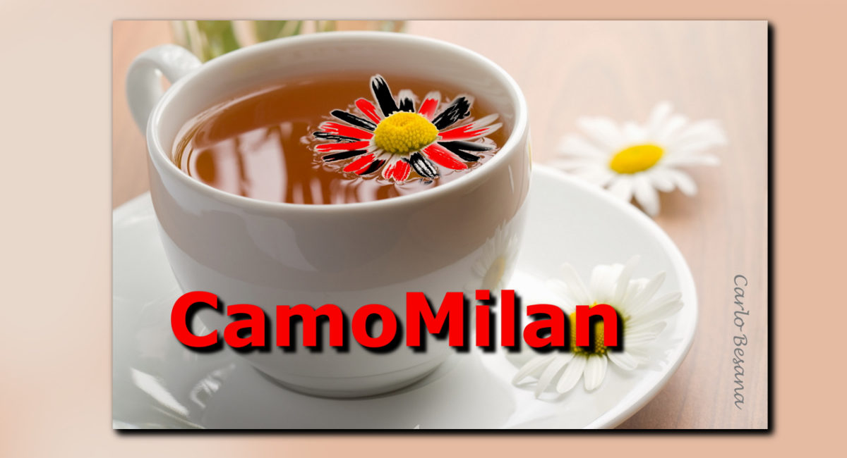 CamoMilan