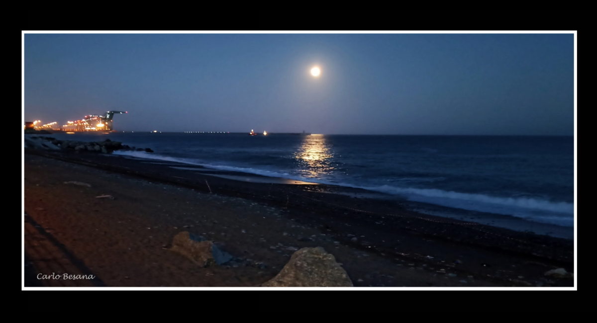 Luna, ti ho vista dappertutto…anche in fondo al mare…