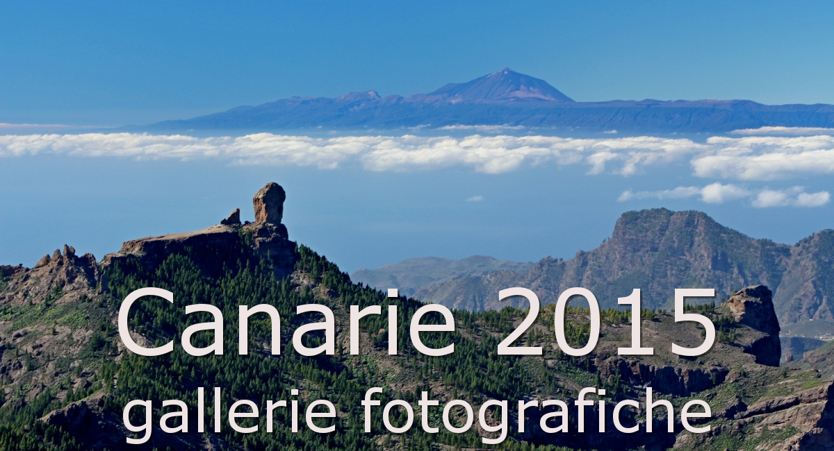 Canarie 2015, le gallerie fotografiche