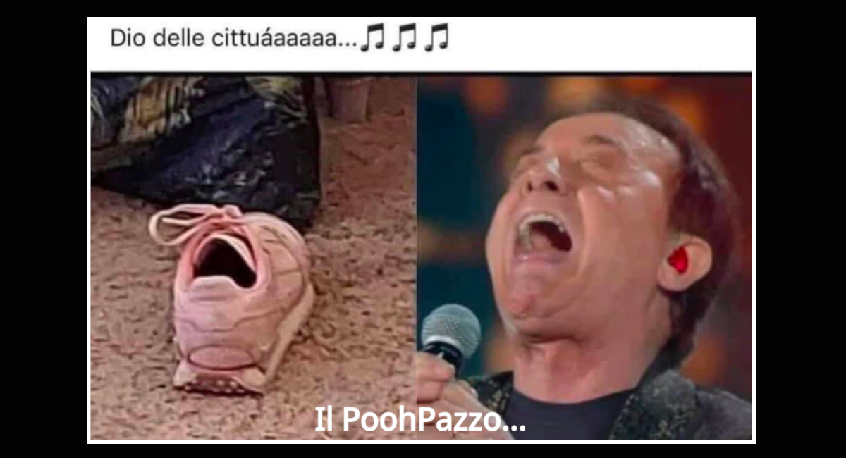 il PoohPazzo…