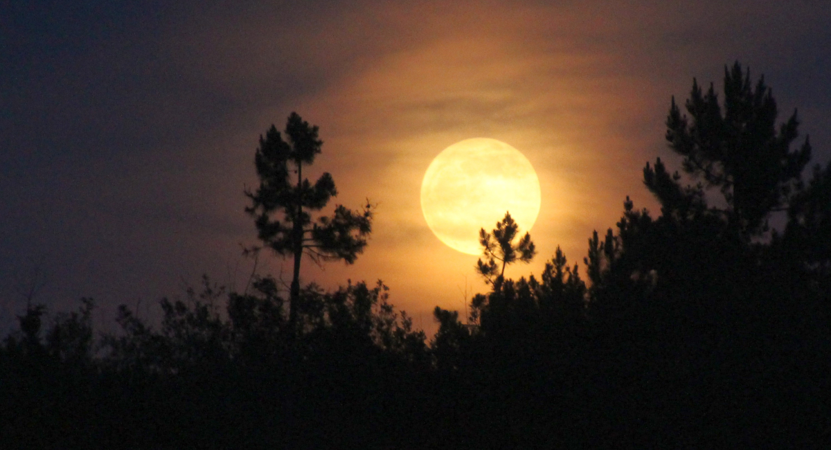 5 maggio, ore 21.15: guarda che luna!